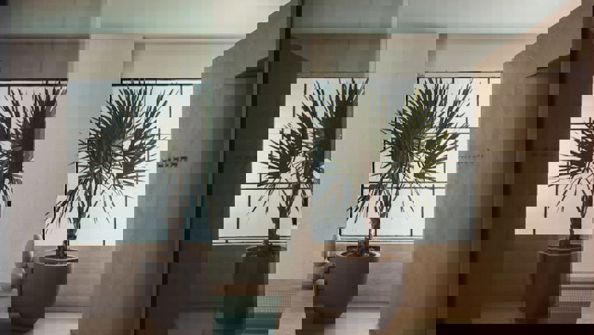 14626A2c184928639141daff70fa6ba5
