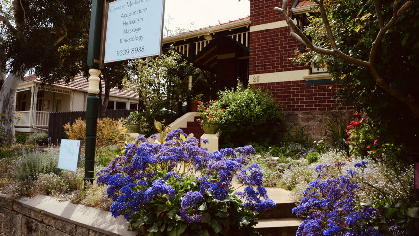 Chinese Medicine Centre Perth